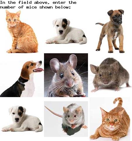 captcha to verify human, not robot