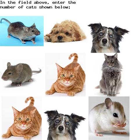 captcha to verify human, not robot