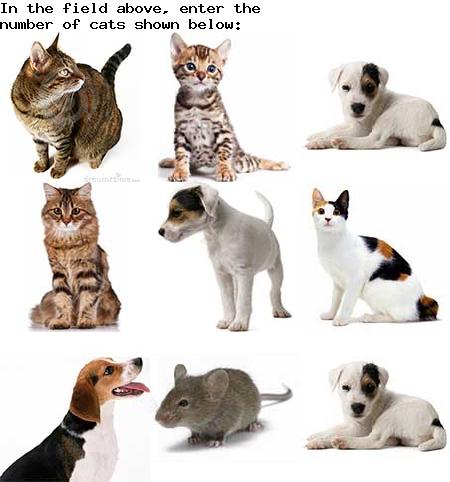 captcha to verify human, not robot