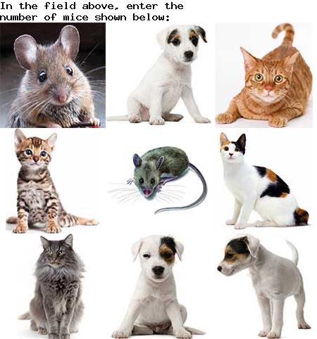 captcha to verify human, not robot