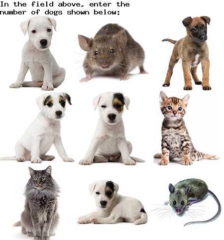 captcha to verify human, not robot